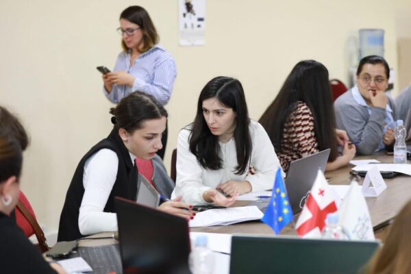 საგრანტო წინადადებების შემუშავება და ფონდების მოძიება